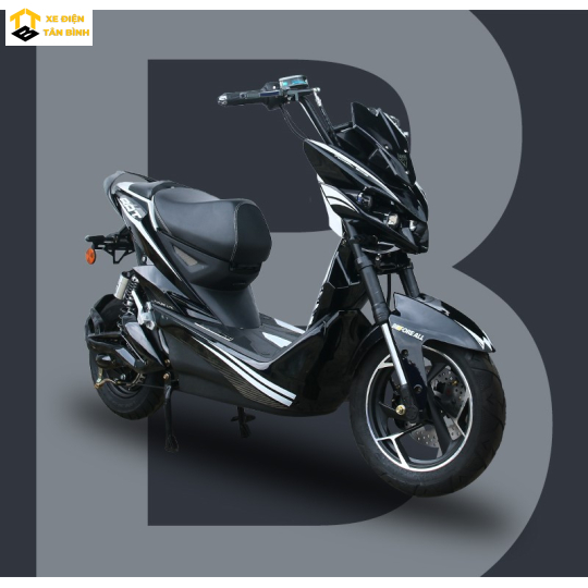 XE ĐIỆN XMEN BAT