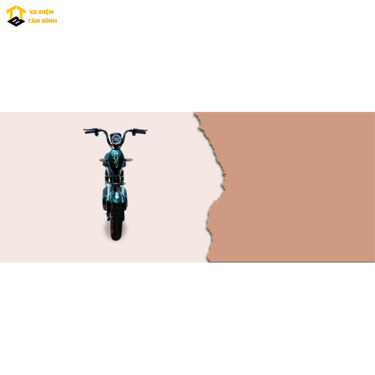 Xe Điện 133FI